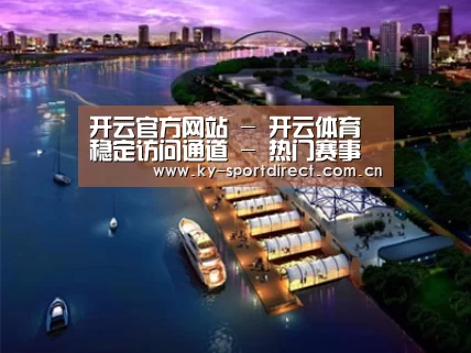 案例展示八