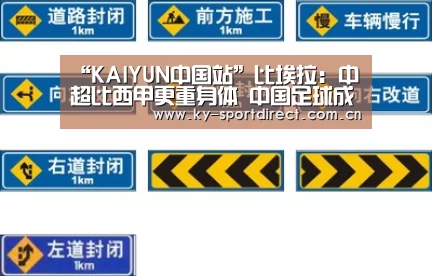 开云体育入口