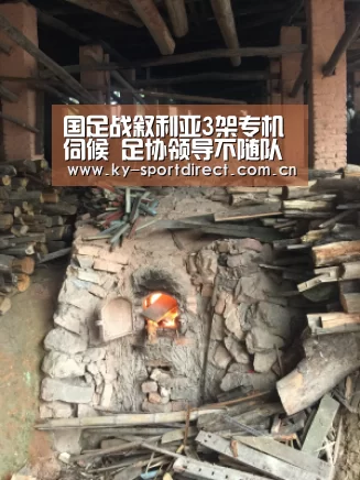 国足战叙利亚3架专机伺候 足协领导不随队出征_开云体育入口(图2) 开云平台