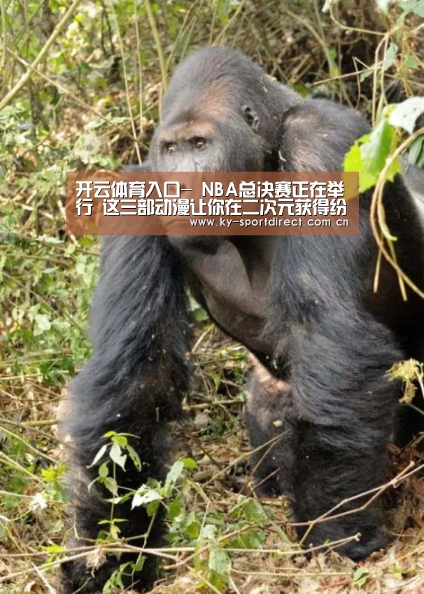 开云体育入口-
NBA总决赛正在举行 这三部动漫让你在二次元获得纷歧样的篮球梦(图4) KAIYUN中国站
