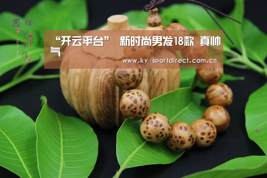 开云体育入口