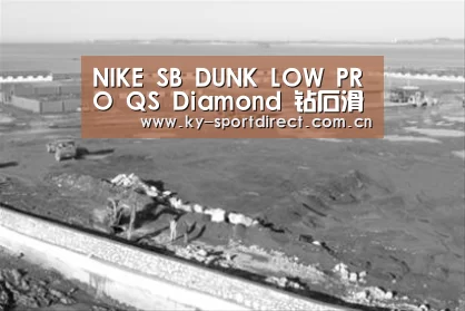 NIKE SB DUNK LOW PRO QS Diamond 钻石滑板鞋‘KAIYUN中国站’(图2) 开云体育入口